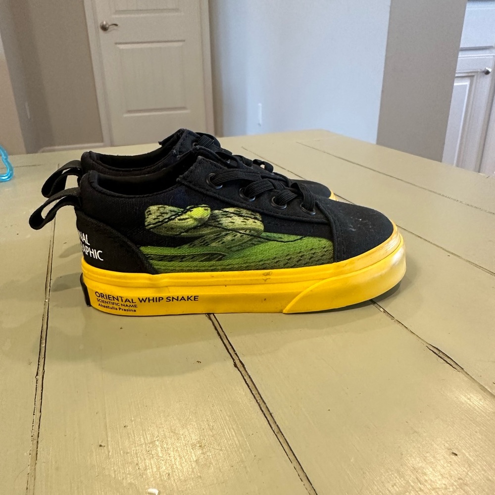 Kids National Geographic Vans size 5.5